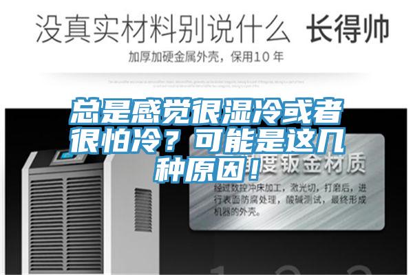總是感覺很濕冷或者很怕冷？可能是這幾種原因！