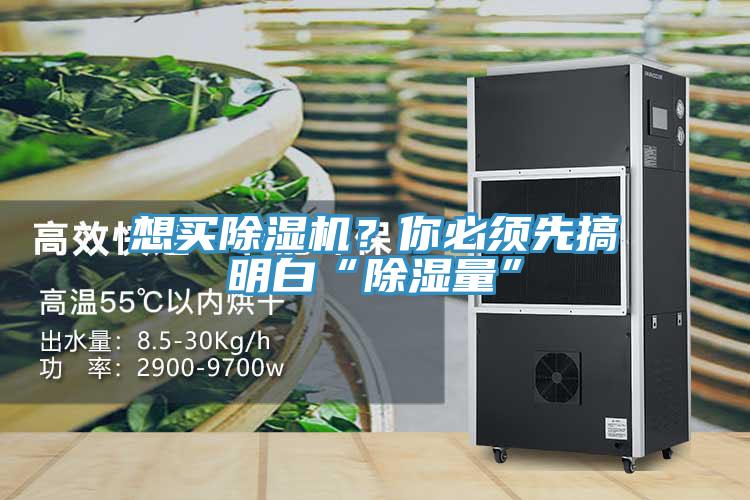 想買除濕機(jī)？你必須先搞明白“除濕量”