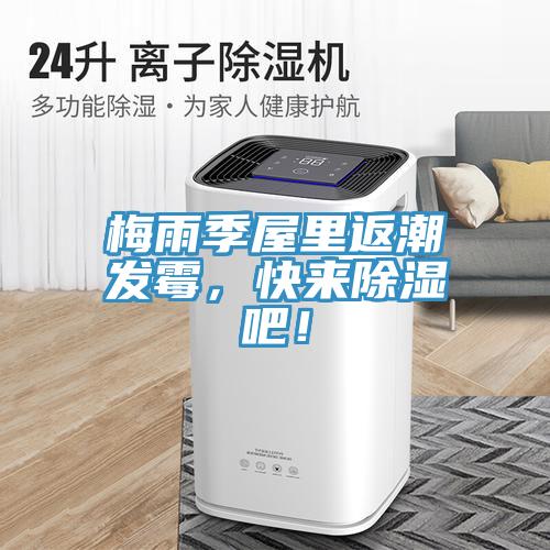 梅雨季屋里返潮發(fā)霉，快來除濕吧！