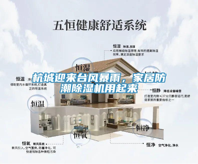 杭城迎來臺風(fēng)暴雨，家居防潮除濕機用起來