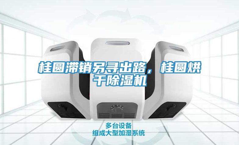 桂圓滯銷另尋出路，桂圓烘干除濕機(jī)