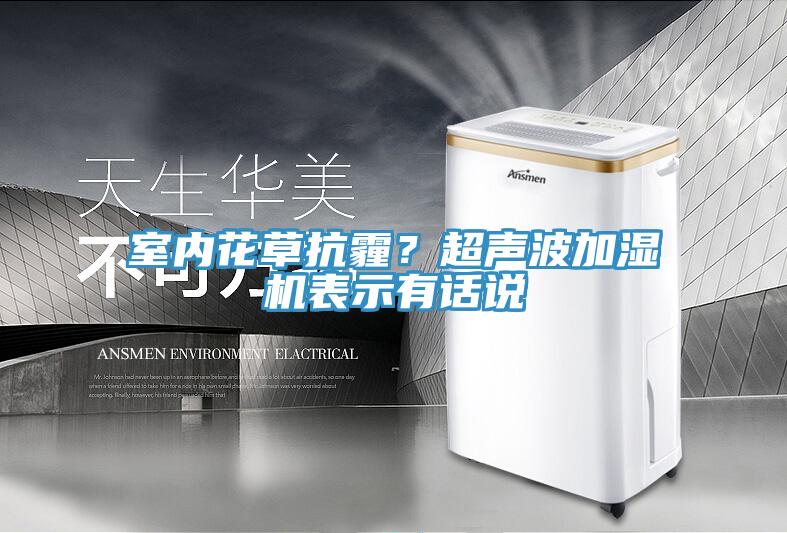 室內花草抗霾？超聲波加濕機表示有話說