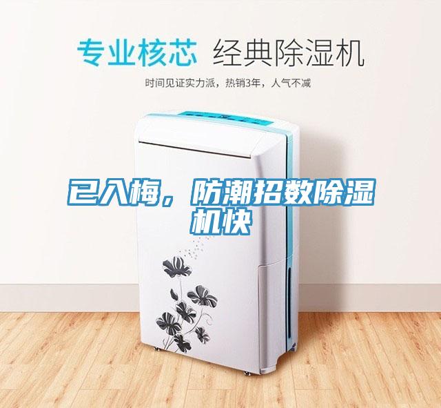 已入梅，防潮招數(shù)除濕機(jī)快