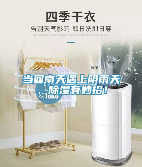 當回南天遇上陰雨天，除濕有妙招！