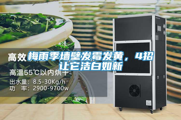 梅雨季墻壁發(fā)霉發(fā)黃，4招讓它潔白如新