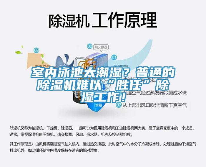 室內(nèi)泳池太潮濕？普通的除濕機(jī)難以“勝任”除濕工作！