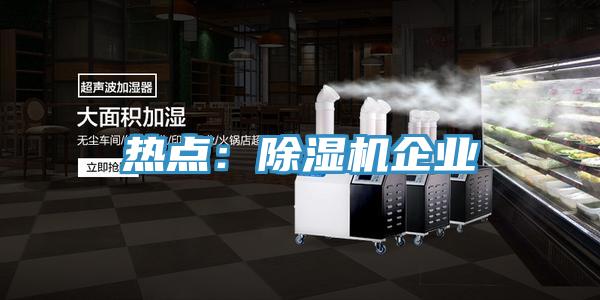 熱點(diǎn)：除濕機(jī)企業(yè)