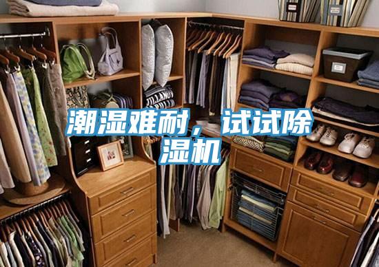潮濕難耐，試試除濕機