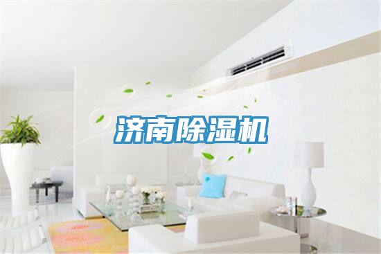濟(jì)南除濕機(jī)