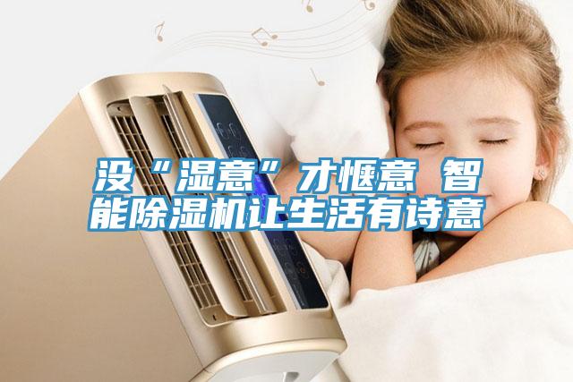 沒“濕意”才愜意 智能除濕機讓生活有詩意