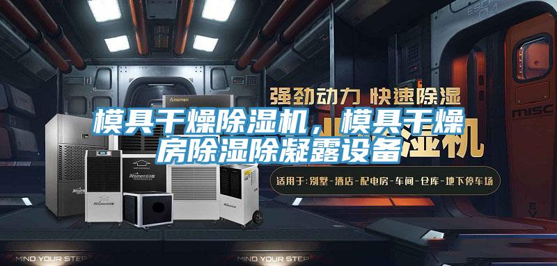 模具干燥除濕機(jī)，模具干燥房除濕除凝露設(shè)備