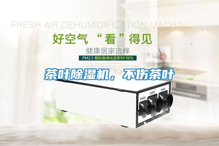 茶葉除濕機(jī)，不傷茶葉