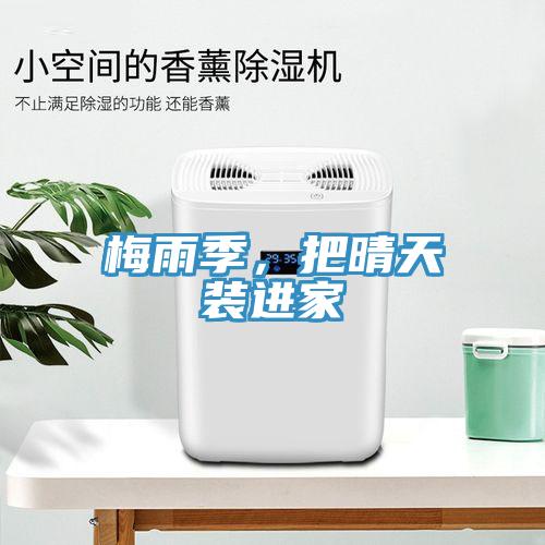 梅雨季，把晴天裝進(jìn)家