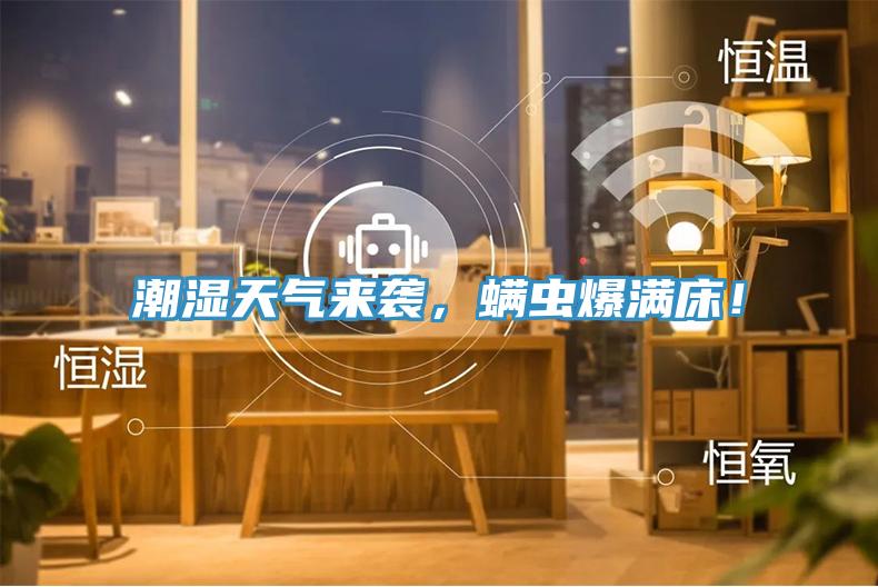 潮濕天氣來(lái)襲，螨蟲(chóng)爆滿床！