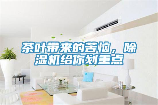 茶葉帶來的苦惱，除濕機給你劃重點