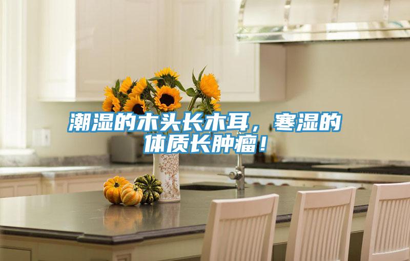 潮濕的木頭長木耳，寒濕的體質(zhì)長腫瘤！