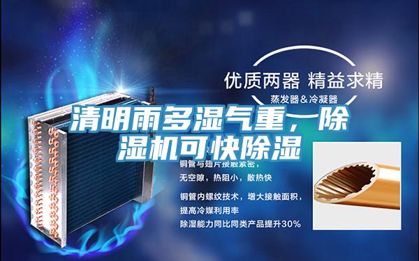 清明雨多濕氣重，除濕機可快除濕