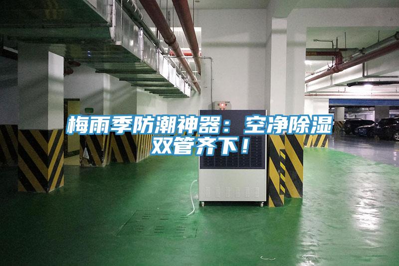 梅雨季防潮神器：空凈除濕雙管齊下！