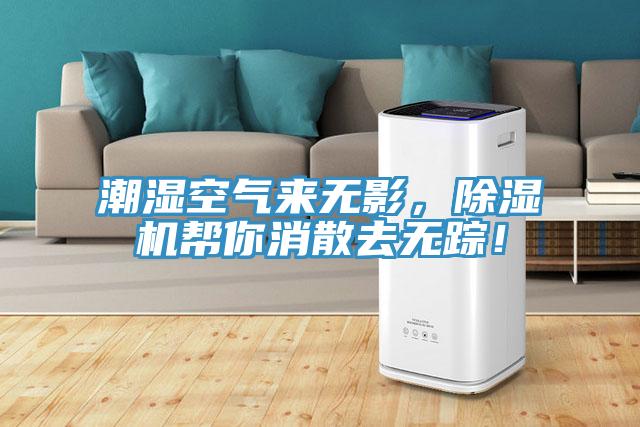 潮濕空氣來無影，除濕機幫你消散去無蹤！
