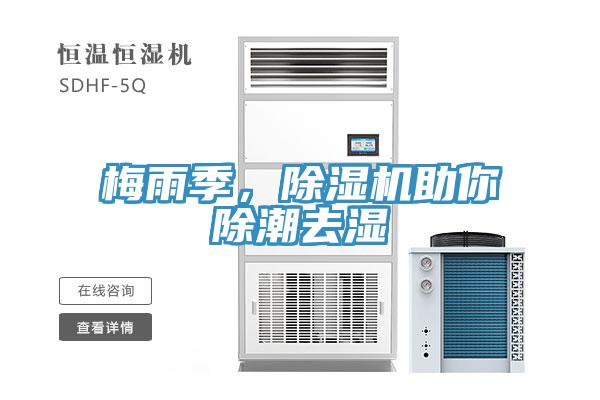 梅雨季，除濕機(jī)助你除潮去濕