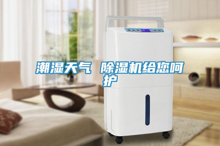 潮濕天氣 除濕機(jī)給您呵護(hù)