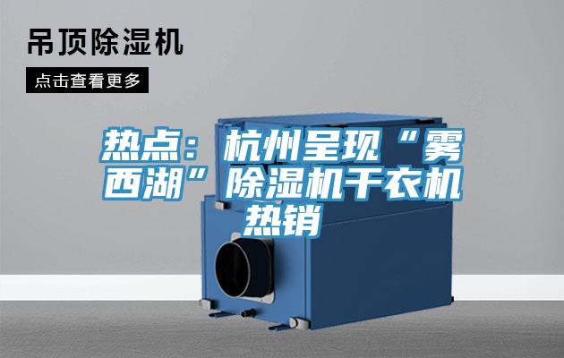 熱點(diǎn)：杭州呈現(xiàn)“霧西湖”除濕機(jī)干衣機(jī)熱銷