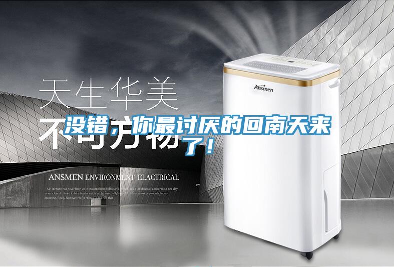 沒錯，你最討厭的回南天來了！
