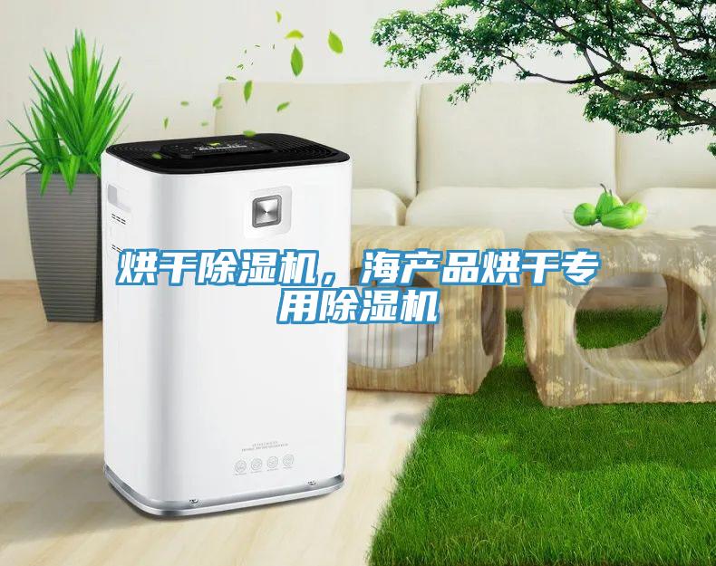 烘干除濕機(jī)，海產(chǎn)品烘干專用除濕機(jī)