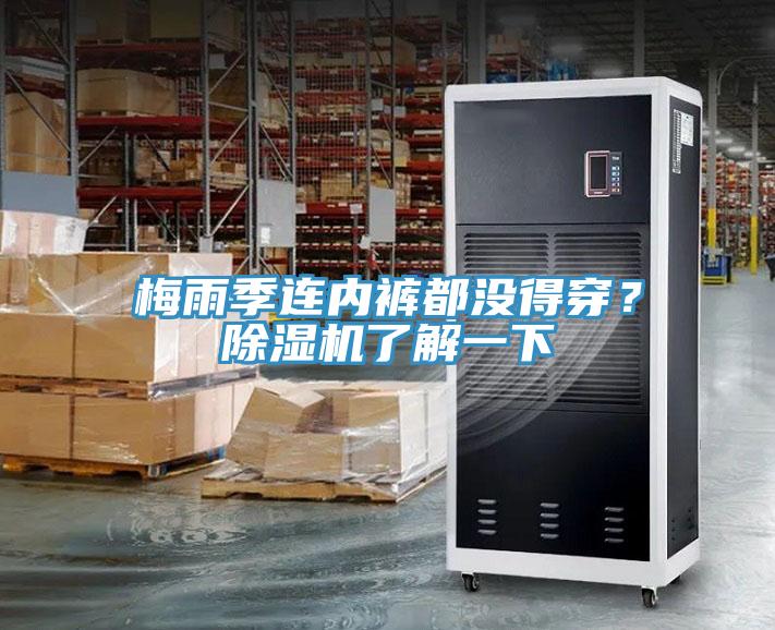 梅雨季連內(nèi)褲都沒得穿？除濕機(jī)了解一下