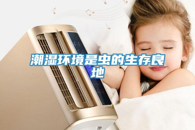 潮濕環(huán)境是蟲的生存良地