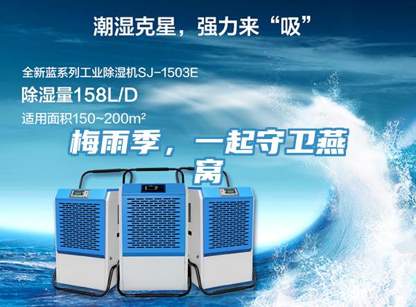 梅雨季，一起守衛(wèi)燕窩