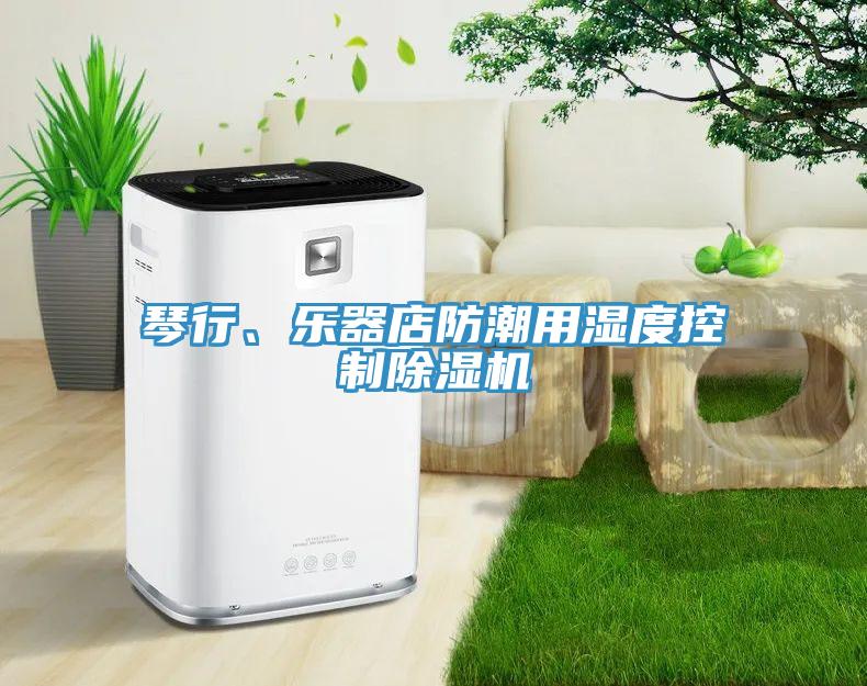 琴行、樂器店防潮用濕度控制除濕機(jī)