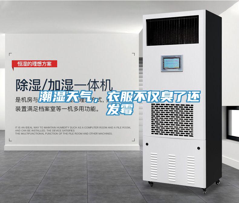 潮濕天氣，衣服不僅臭了還發(fā)霉