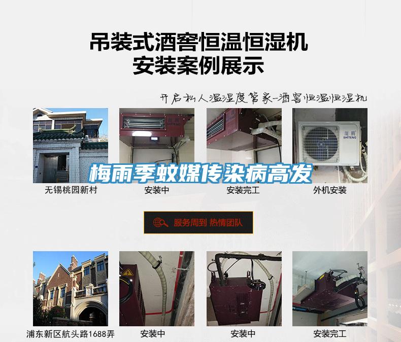 梅雨季蚊媒傳染病高發(fā)