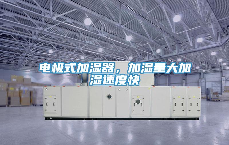 電極式加濕器，加濕量大加濕速度快