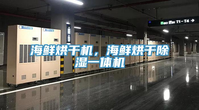 海鮮烘干機，海鮮烘干除濕一體機