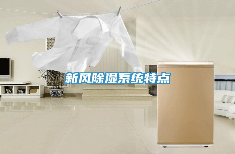 新風(fēng)除濕系統(tǒng)特點(diǎn)