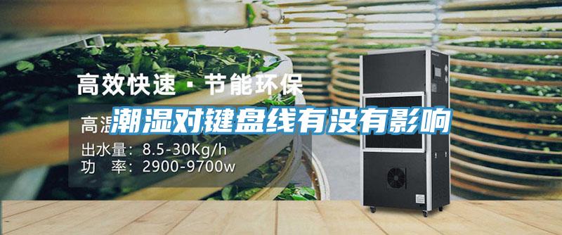 潮濕對(duì)鍵盤(pán)線有沒(méi)有影響