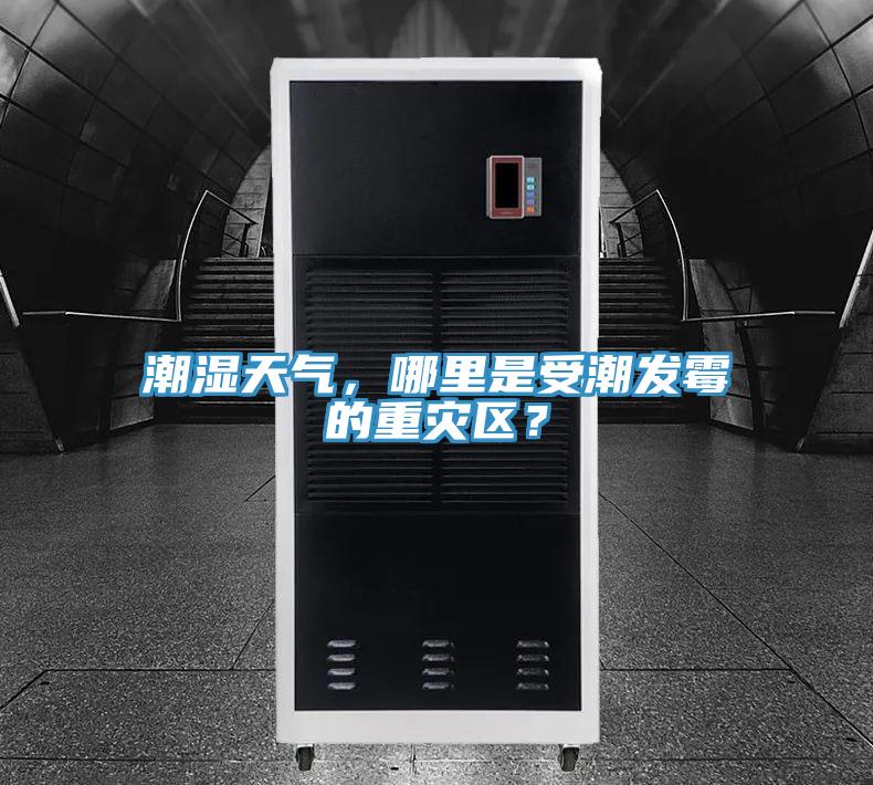 潮濕天氣，哪里是受潮發(fā)霉的重災(zāi)區(qū)？