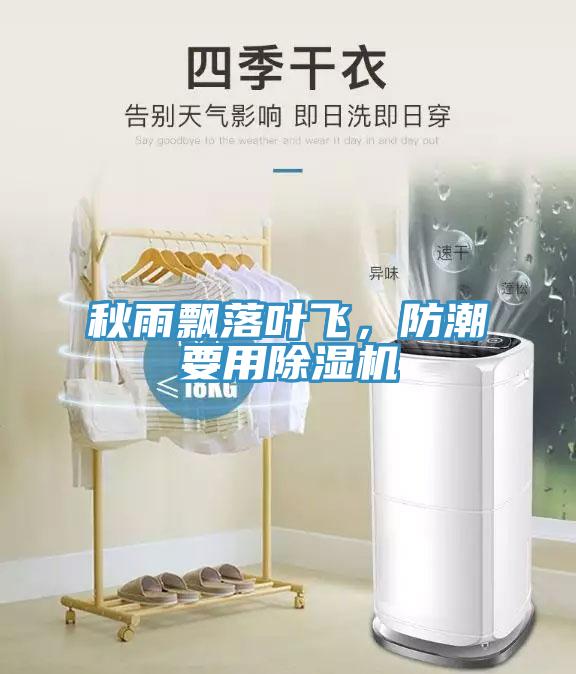 秋雨飄落葉飛，防潮要用除濕機