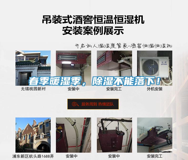 春季暖濕季，除濕不能落下！