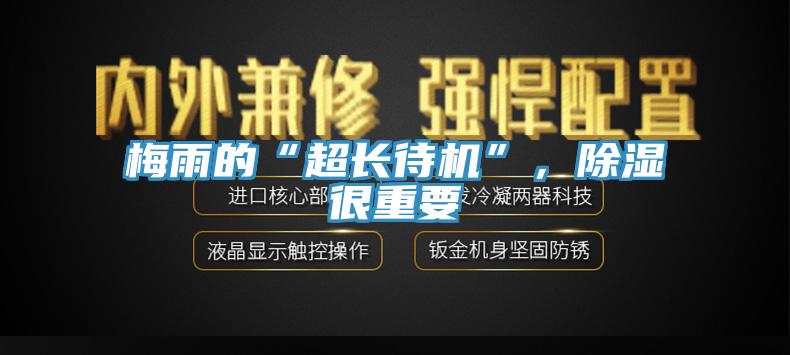 梅雨的“超長(zhǎng)待機(jī)”，除濕很重要