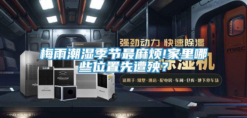 梅雨潮濕季節(jié)最麻煩!家里哪些位置先遭殃？