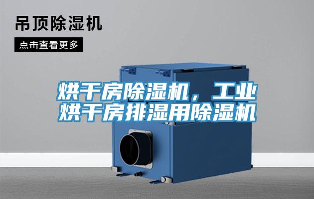 烘干房除濕機(jī)，工業(yè)烘干房排濕用除濕機(jī)