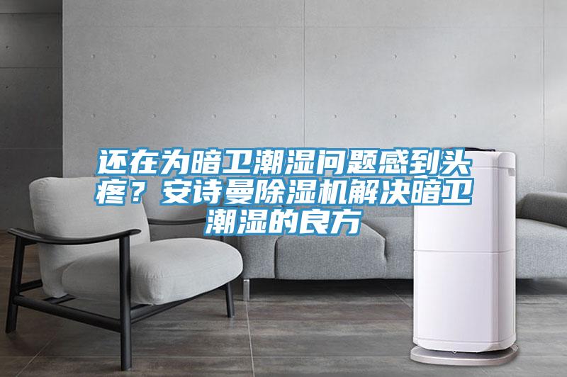 還在為暗衛(wèi)潮濕問(wèn)題感到頭疼？安詩(shī)曼除濕機(jī)解決暗衛(wèi)潮濕的良方