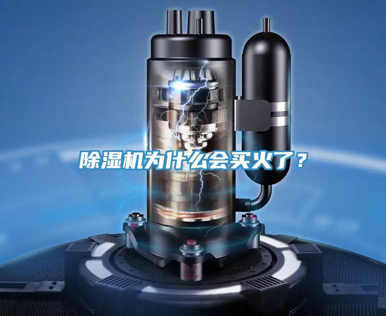 除濕機(jī)為什么會(huì)買火了？
