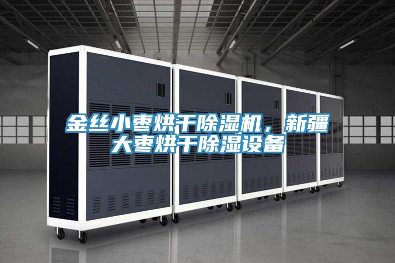 金絲小棗烘干除濕機(jī)，新疆大棗烘干除濕設(shè)備