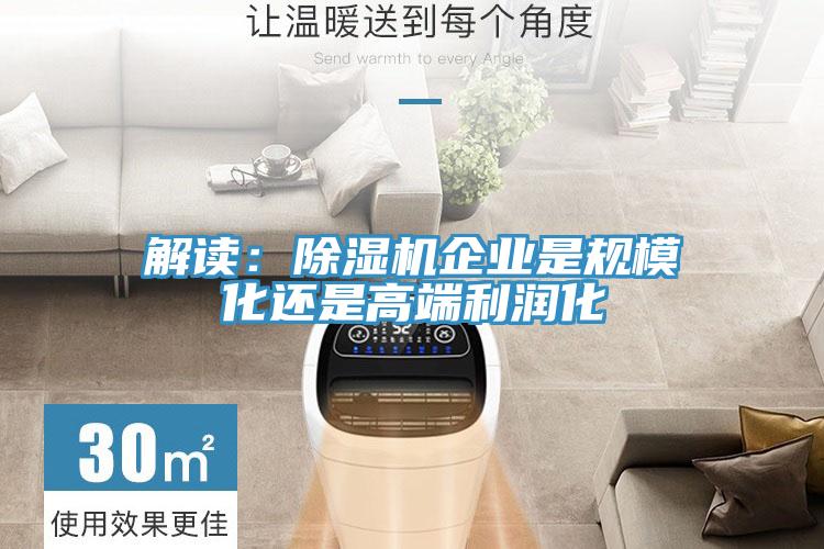解讀：除濕機(jī)企業(yè)是規(guī)模化還是高端利潤(rùn)化