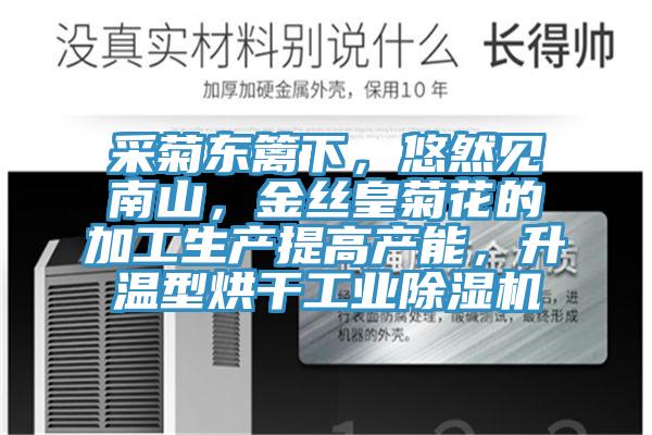 采菊東籬下，悠然見(jiàn)南山，金絲皇菊花的加工生產(chǎn)提高產(chǎn)能，升溫型烘干工業(yè)除濕機(jī)
