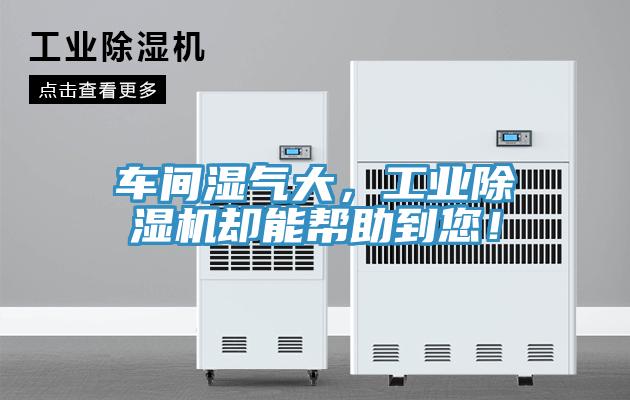 車間濕氣大，工業(yè)除濕機卻能幫助到您！